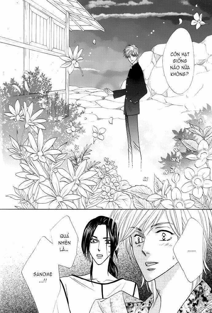 Kim Cương Bạc Chapter 13 trang 7