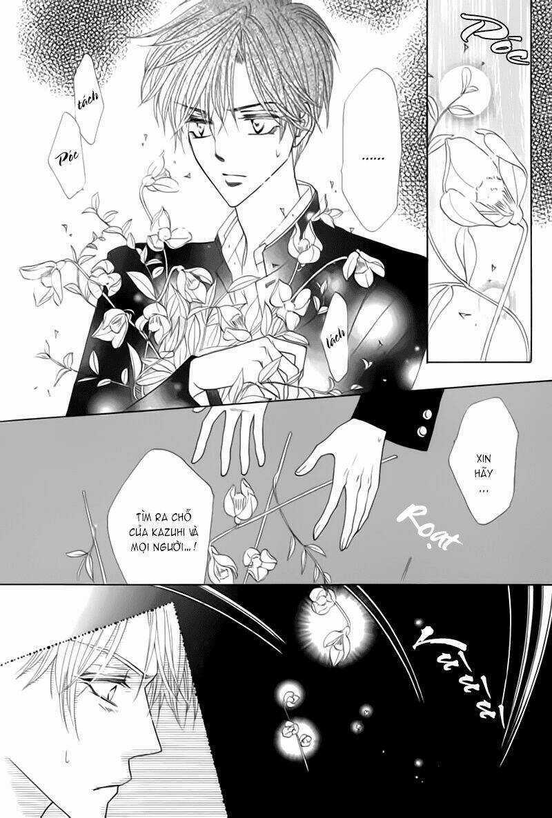 Kim Cương Bạc Chapter 17 trang 14