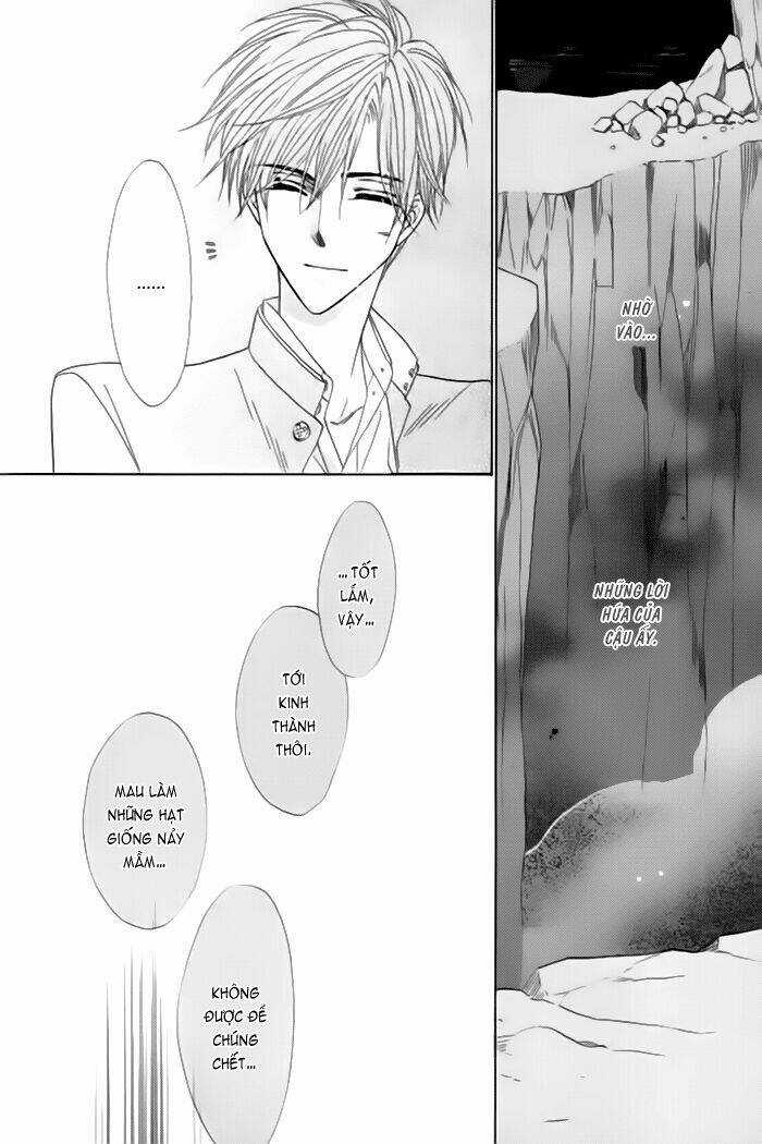 Kim Cương Bạc Chapter 18 trang 20