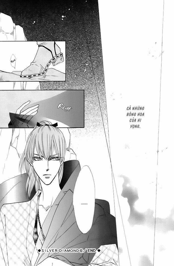 Kim Cương Bạc Chapter 18 trang 47