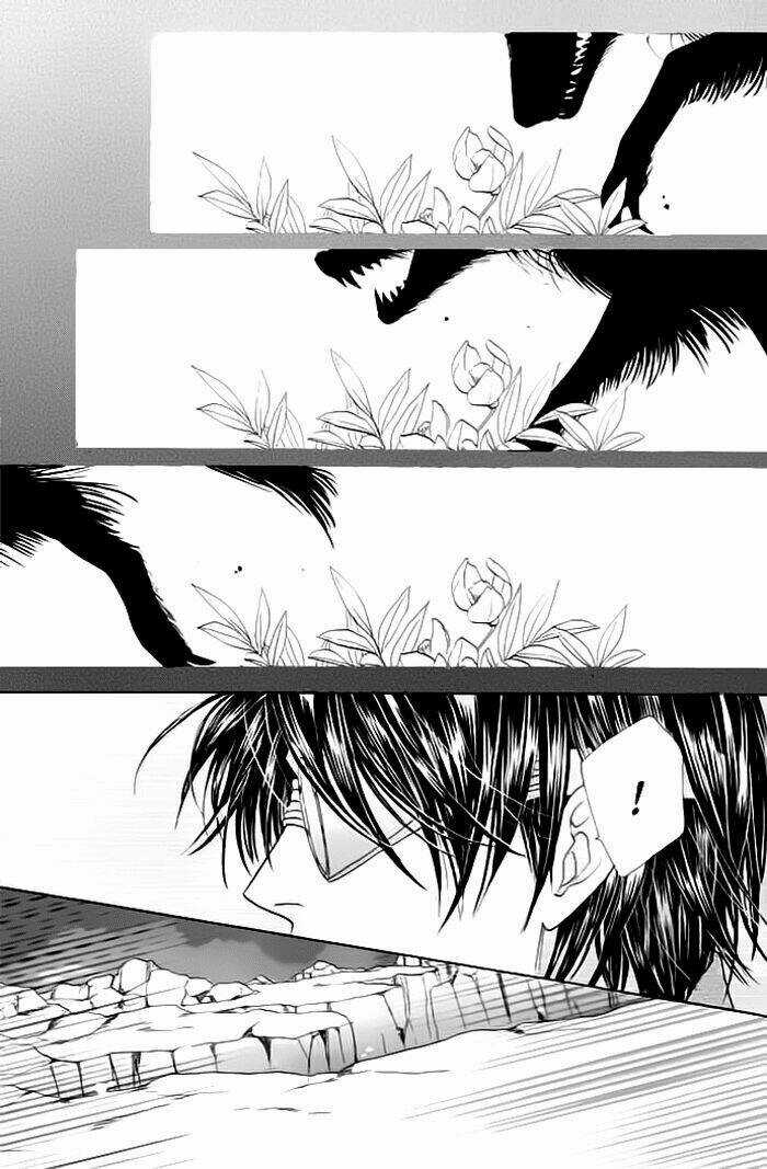 Kim Cương Bạc Chapter 19 trang 16