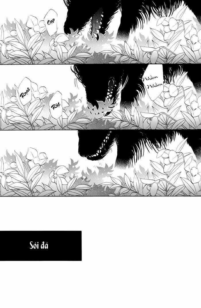 Kim Cương Bạc Chapter 19 trang 4