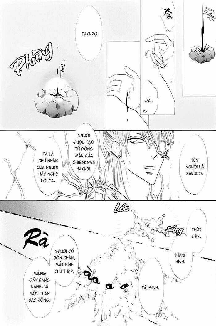 Kim Cương Bạc Chapter 19 trang 41