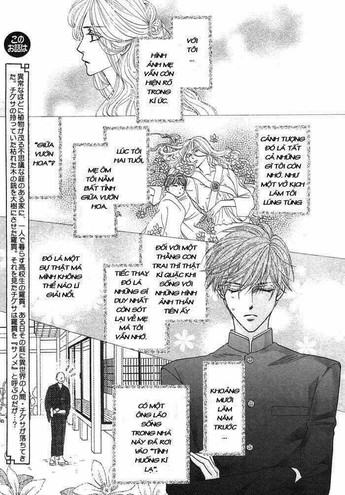 Kim Cương Bạc Chapter 2 trang 2