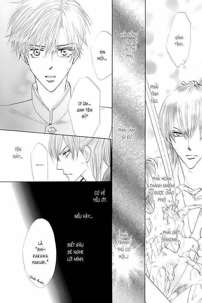 Kim Cương Bạc Chapter 20 trang 13