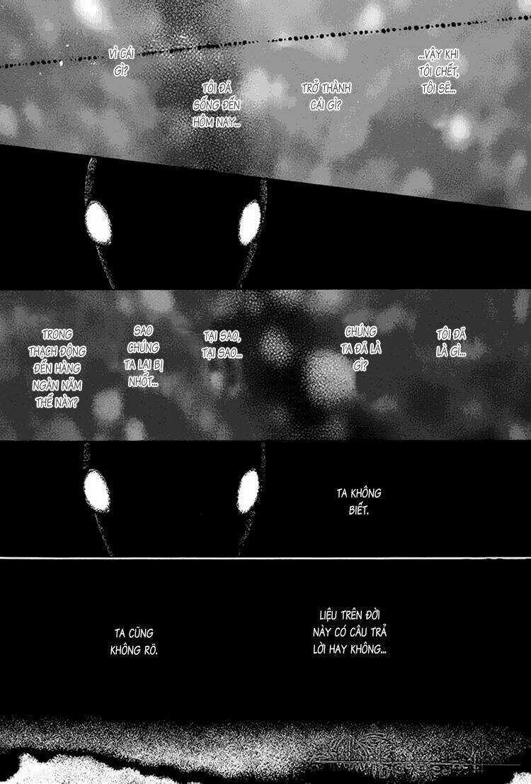 Kim Cương Bạc Chapter 22 trang 8