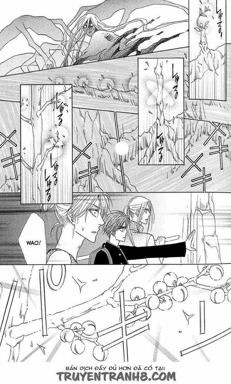 Kim Cương Bạc Chapter 25 trang 28