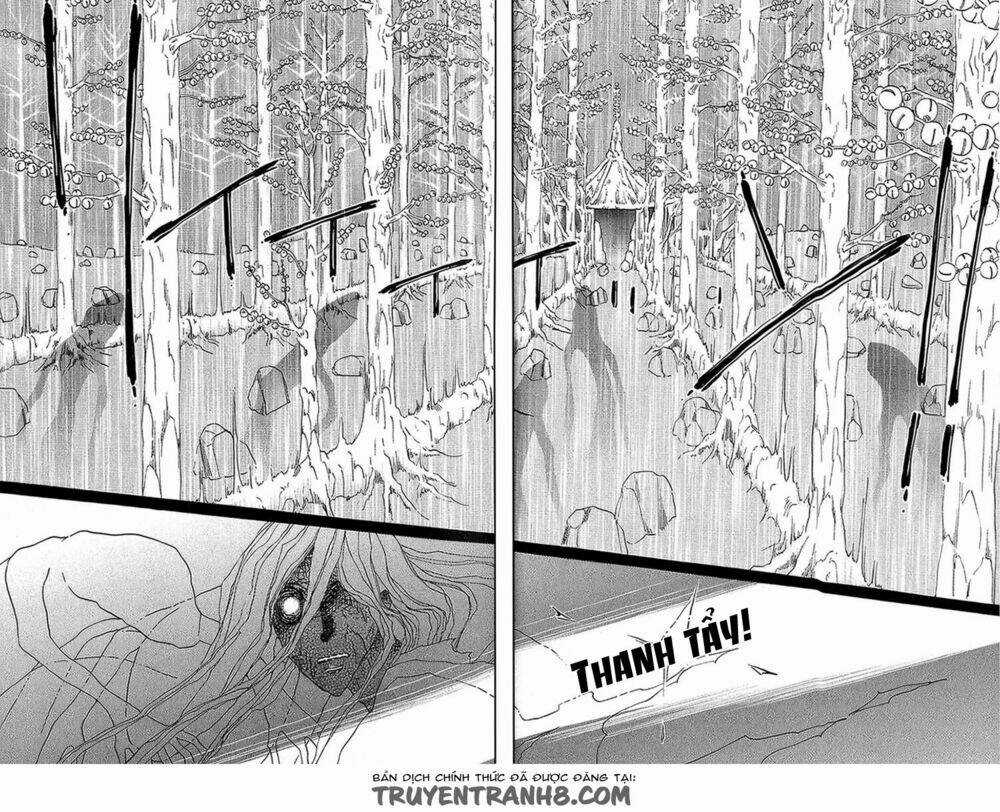 Kim Cương Bạc Chapter 25 trang 29