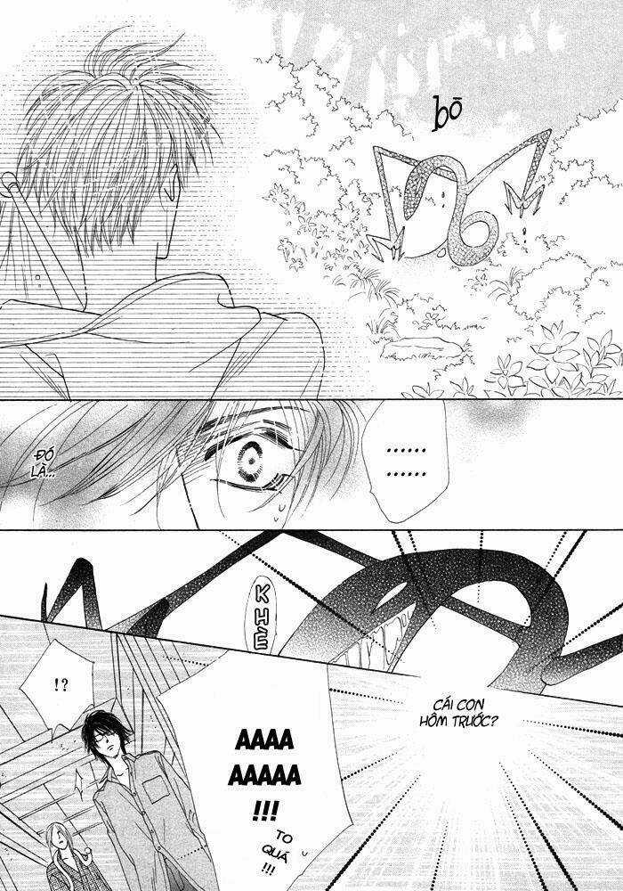 Kim Cương Bạc Chapter 3 trang 25