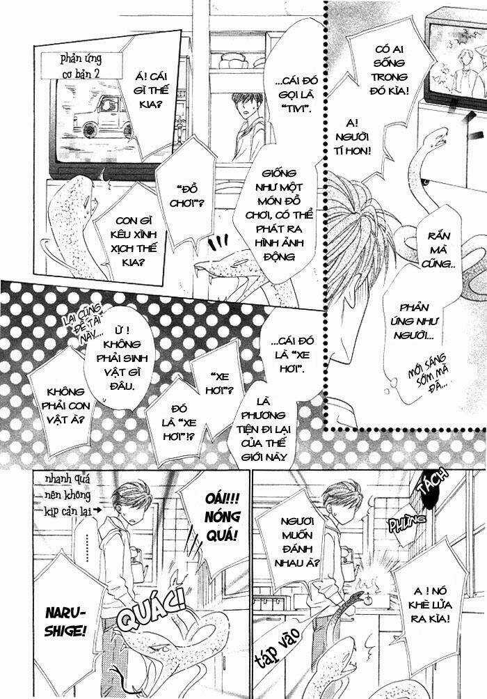 Kim Cương Bạc Chapter 3 trang 3