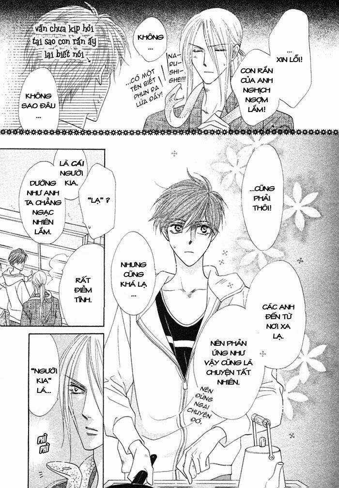 Kim Cương Bạc Chapter 3 trang 4