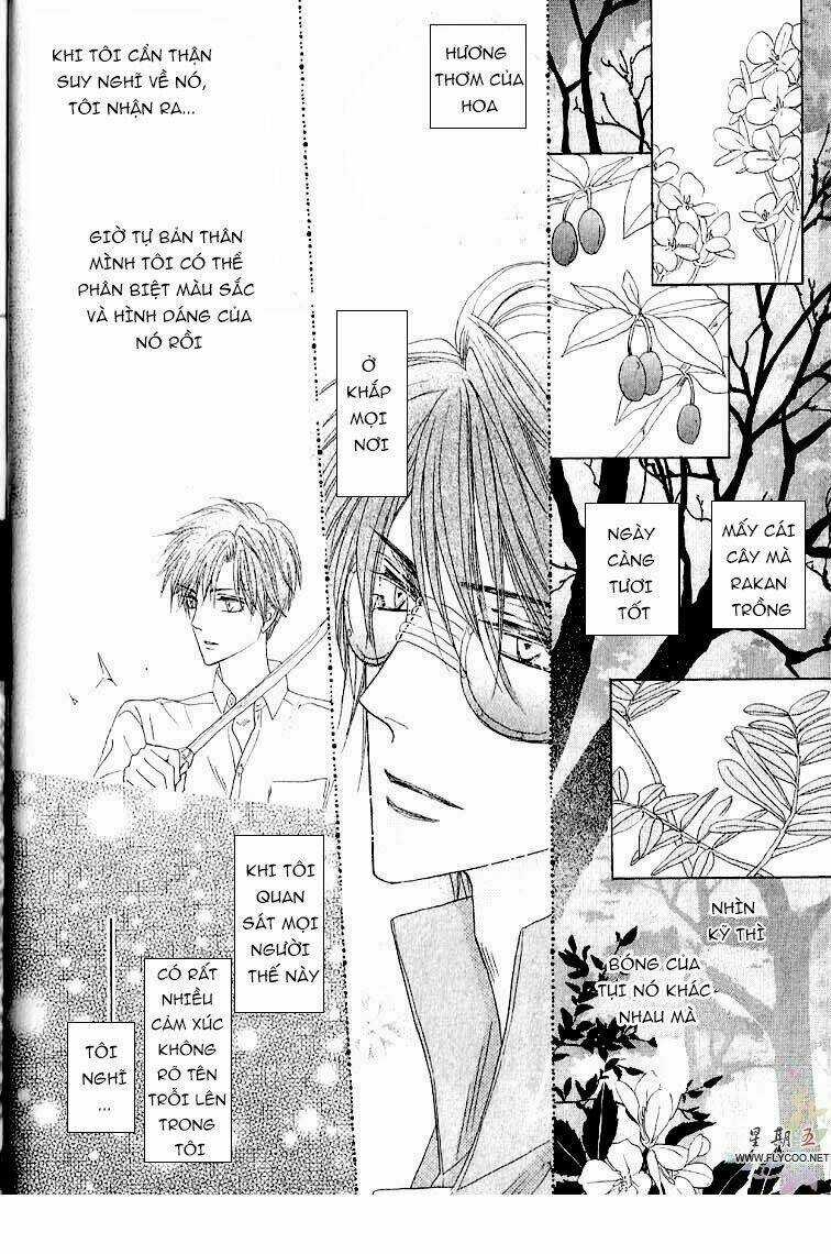 Kim Cương Bạc Chapter 31 trang 11