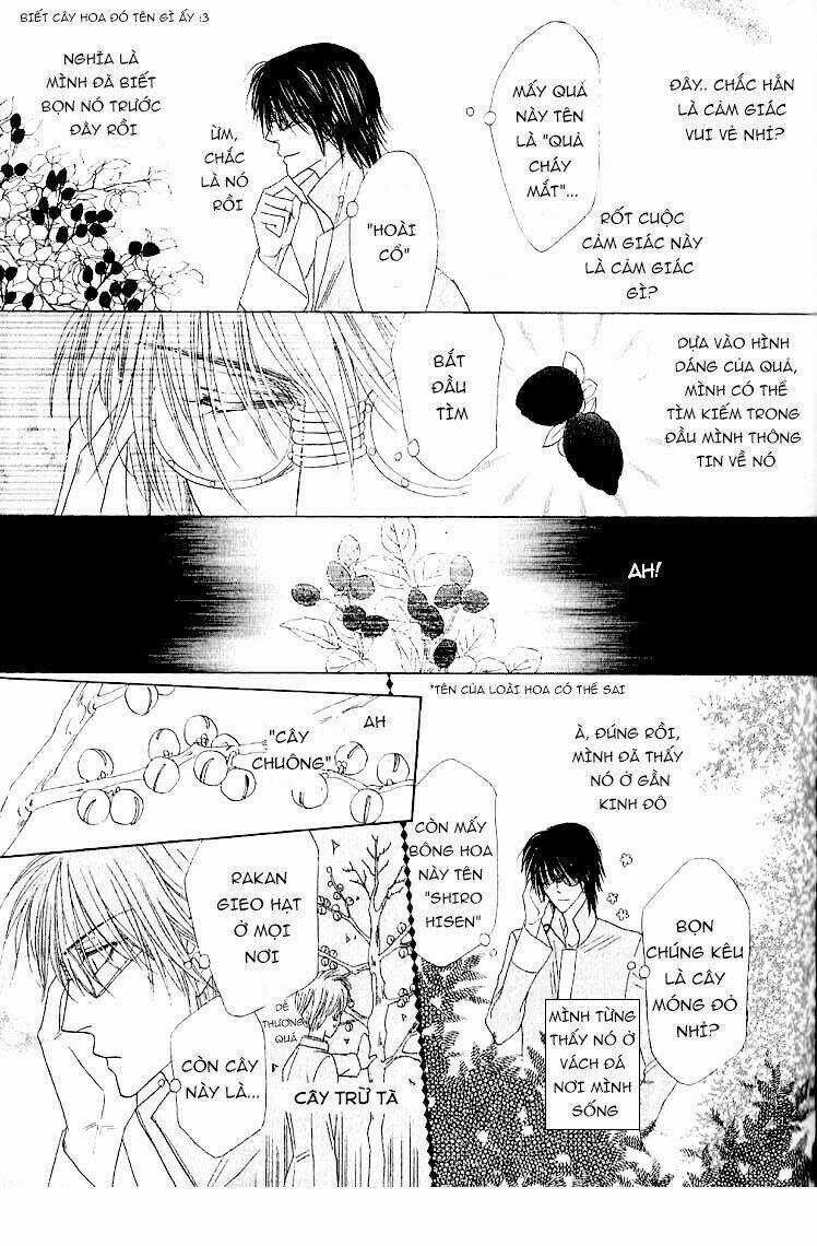 Kim Cương Bạc Chapter 31 trang 12