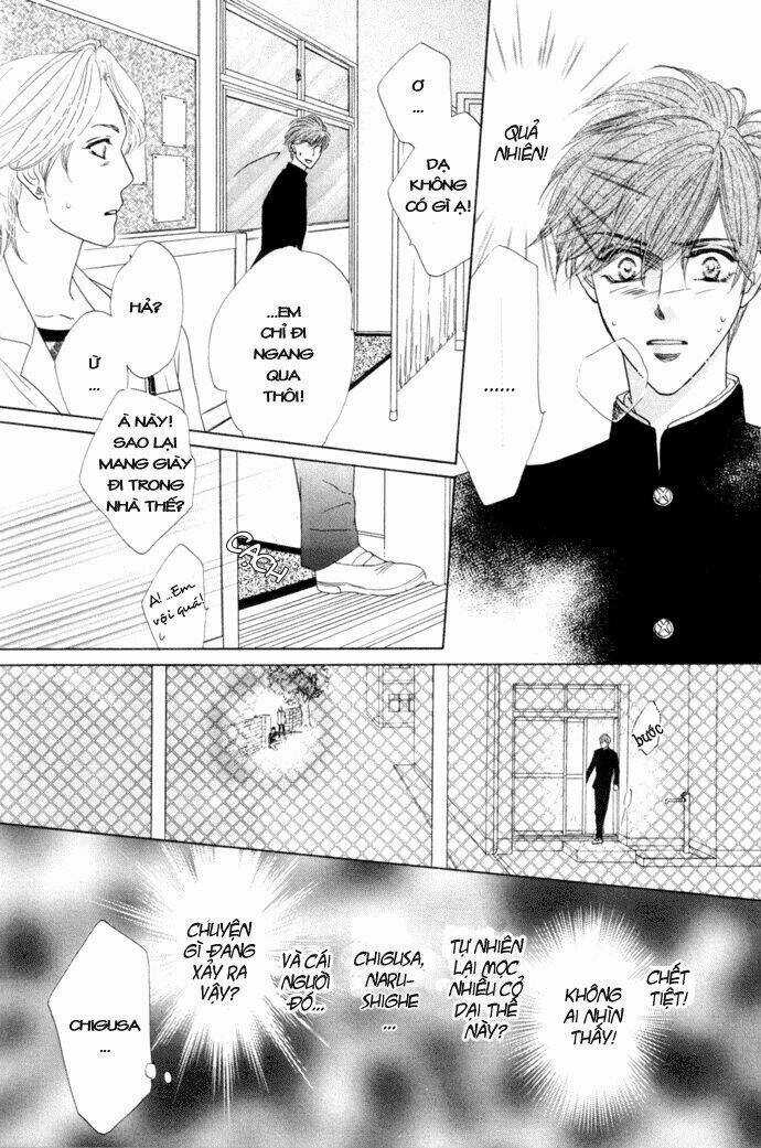 Kim Cương Bạc Chapter 6 trang 8