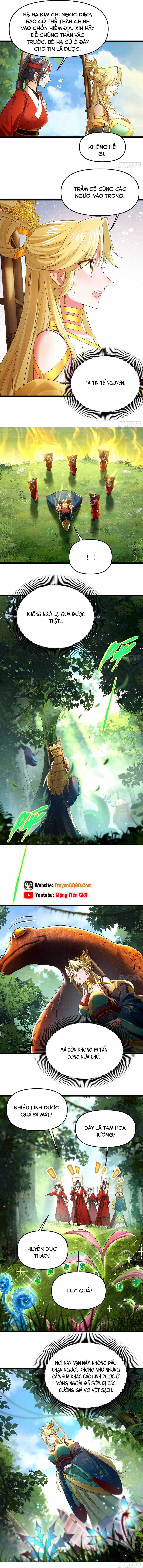 Kim Đan Là Hằng Tinh, Ngươi Gọi Đây Là Tu Tiên À? Chương 8 trang 3