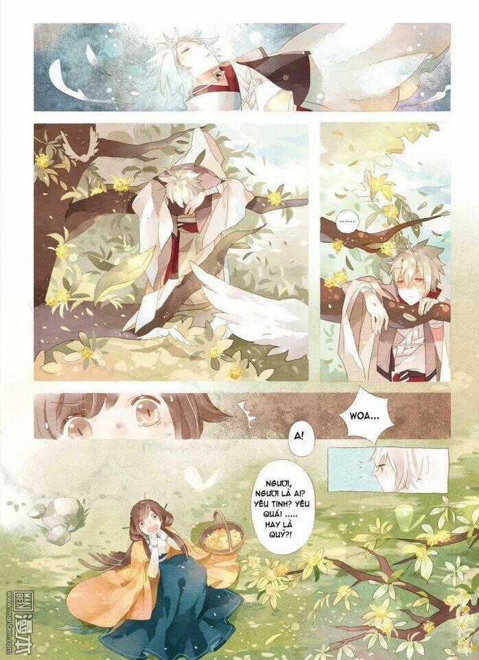 Kim Quế Hoa Cao Chapter 1 trang 1