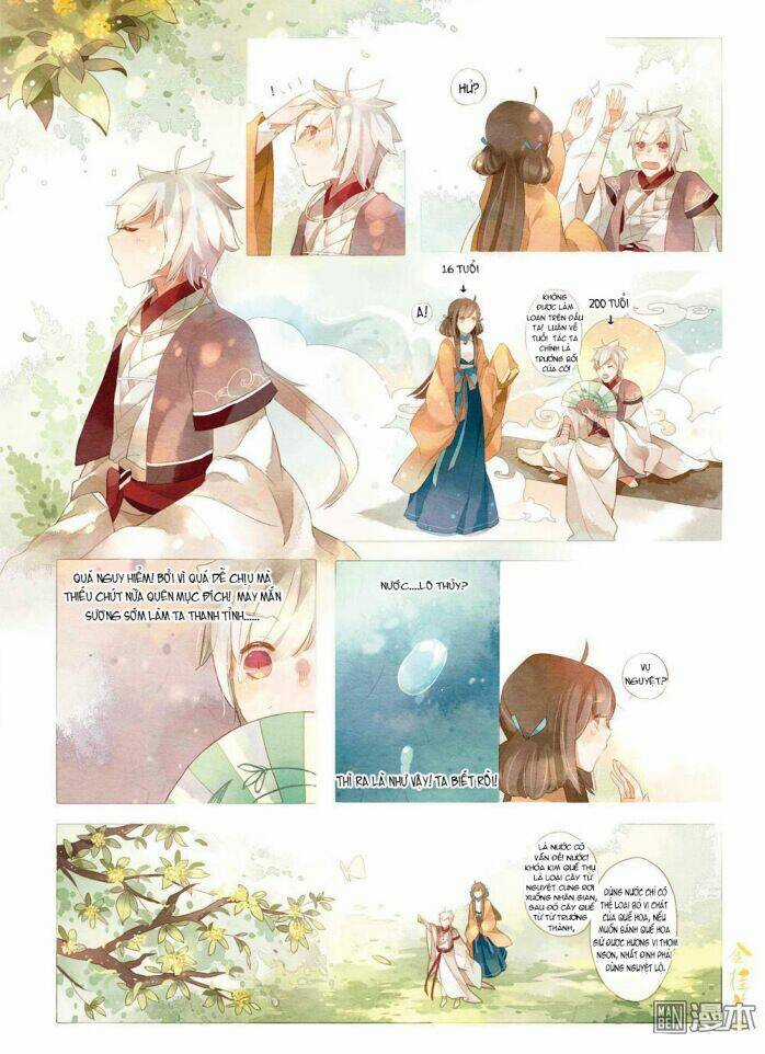 Kim Quế Hoa Cao Chapter 1 trang 13