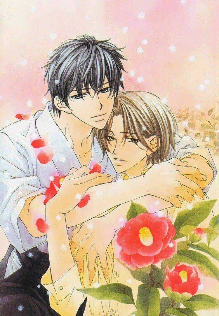 Kimi ga Koi ni Ochiru Chapter 1 trang 4