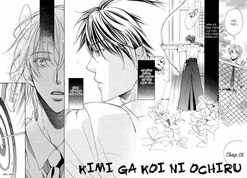 Kimi ga Koi ni Ochiru Chapter 1 trang 9