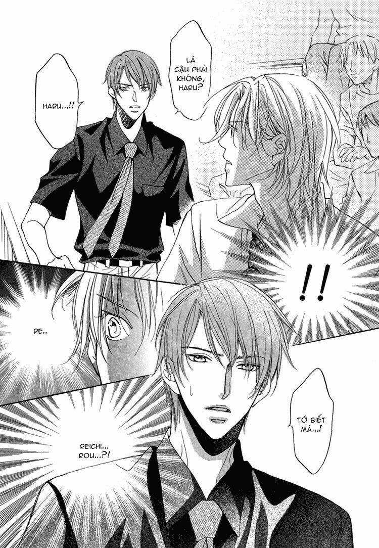 Kimi ga Koi ni Ochiru Chapter 2 trang 17