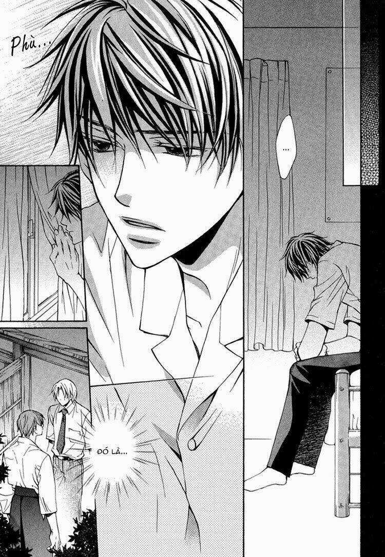 Kimi ga Koi ni Ochiru Chapter 5 trang 11