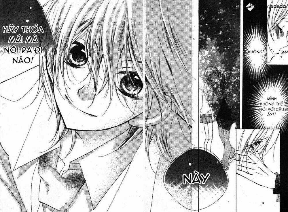 Kimi No Neiro Chapter 10 trang 22