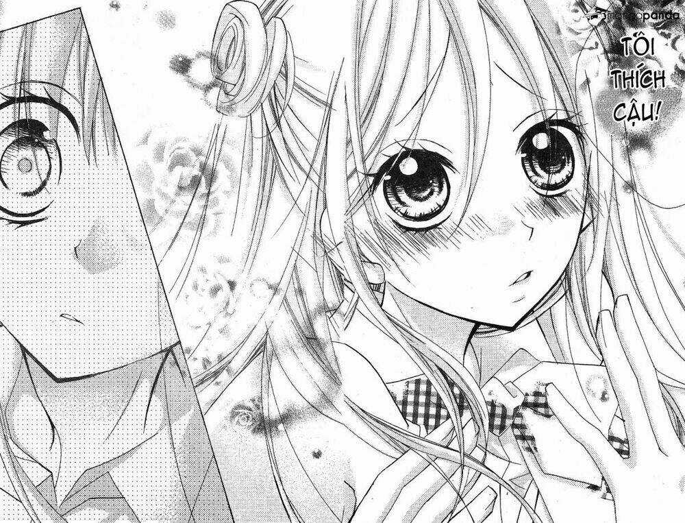 Kimi No Neiro Chapter 10 trang 7