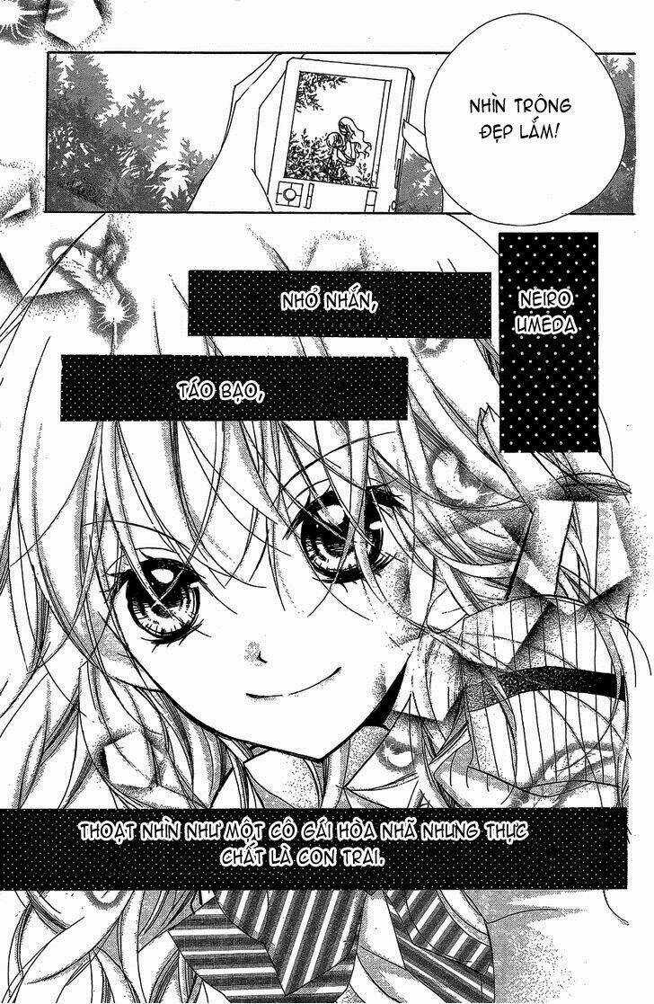 Kimi No Neiro Chapter 16 trang 35