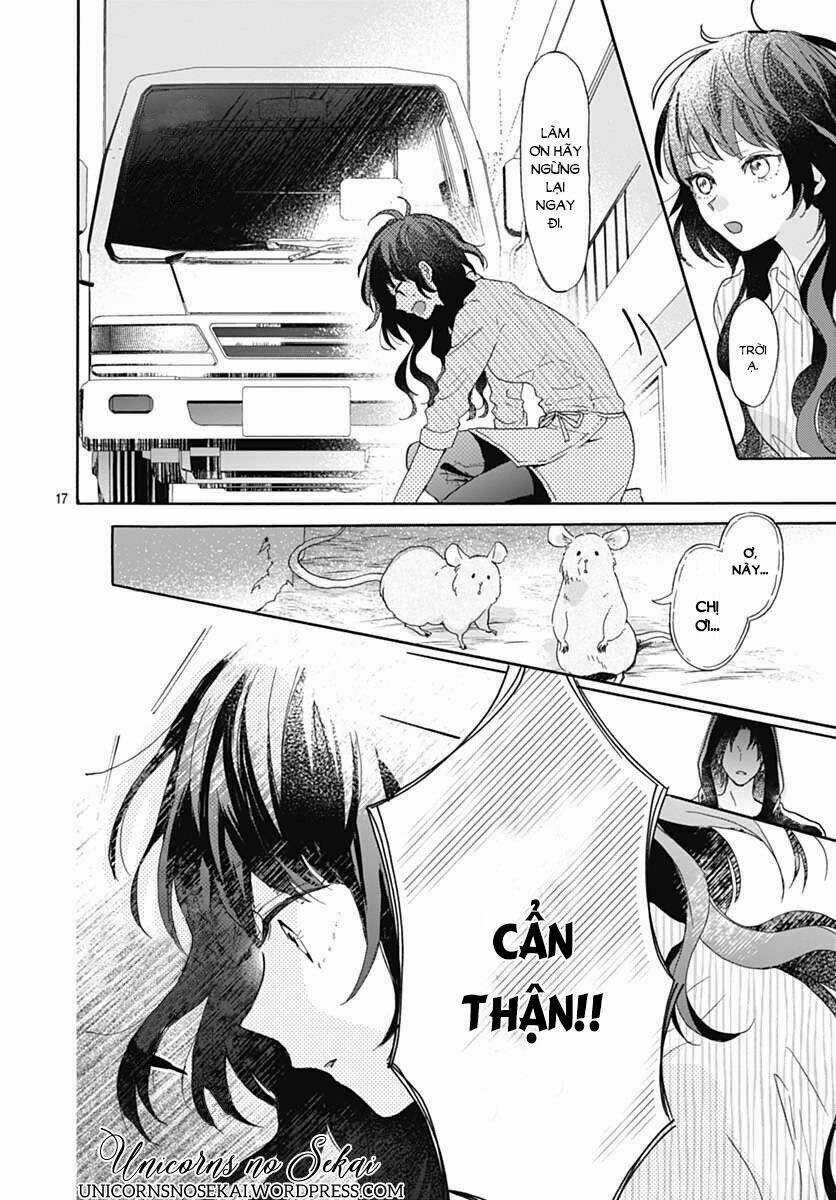 Kimi To Wonderland Chapter 1 trang 17