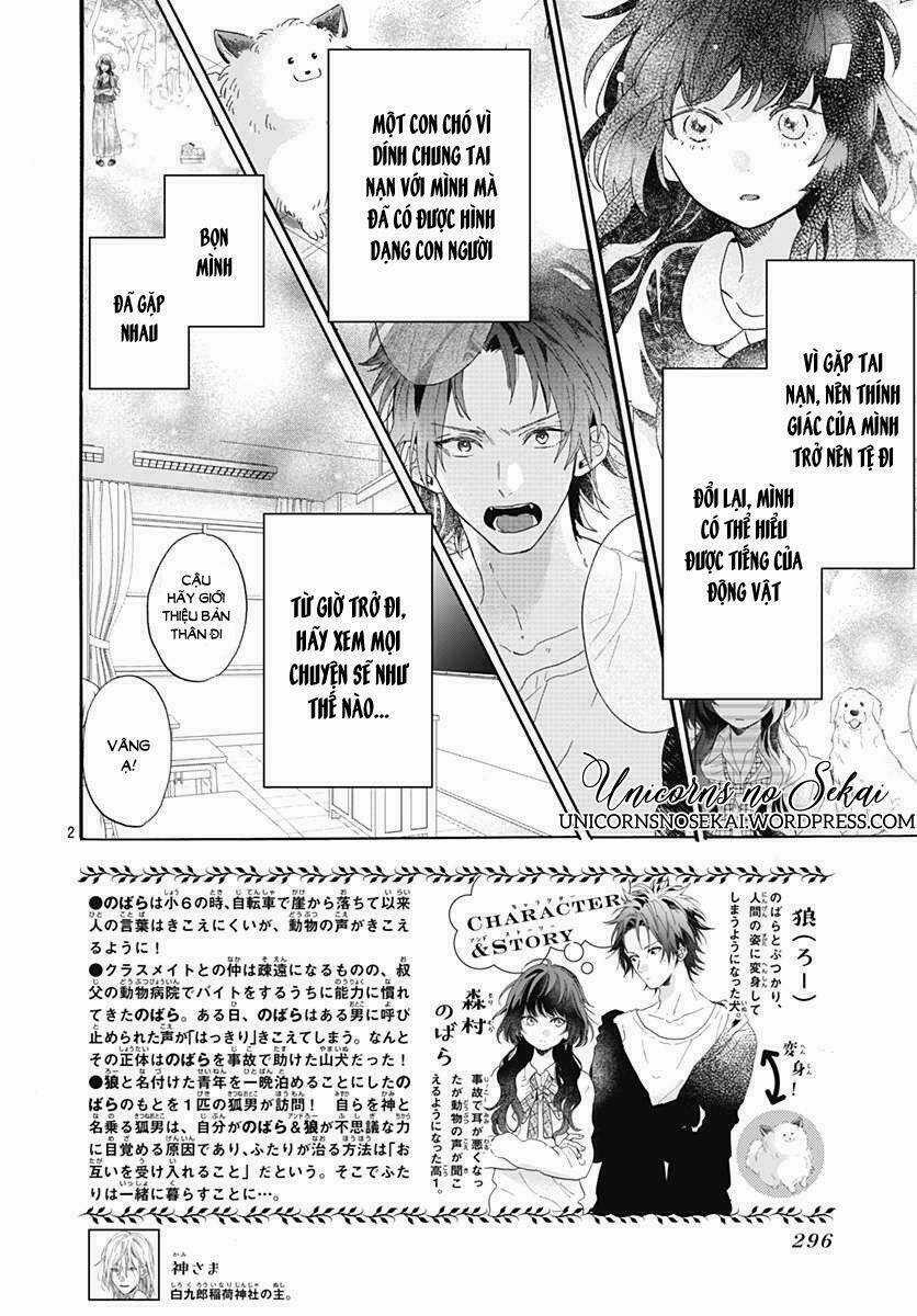 Kimi To Wonderland Chapter 3 trang 3