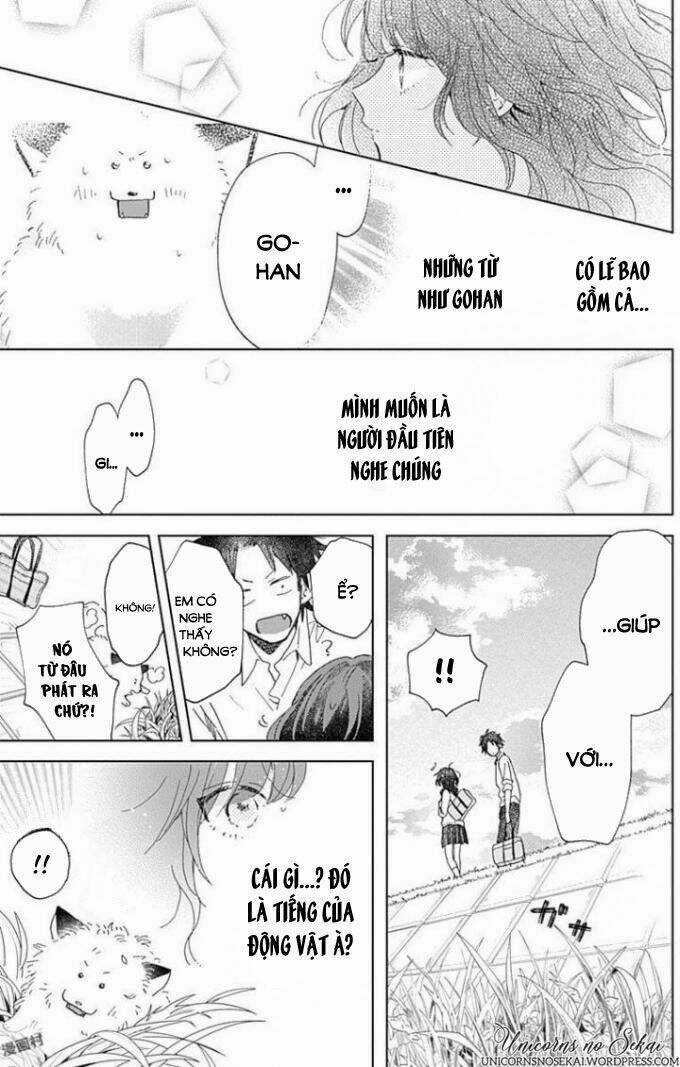 Kimi To Wonderland Chapter 4 trang 22