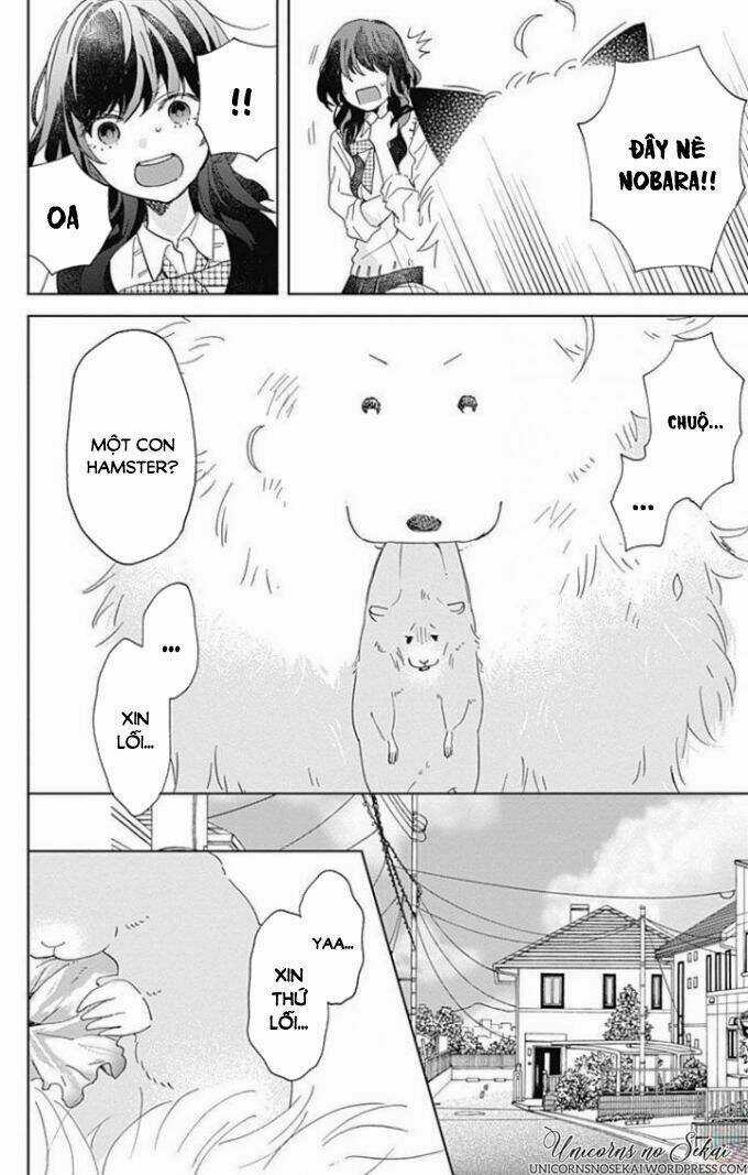 Kimi To Wonderland Chapter 4 trang 23