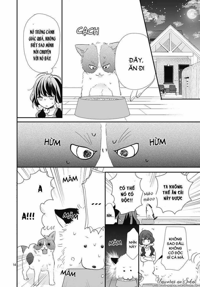 Kimi To Wonderland Chapter 5 trang 15