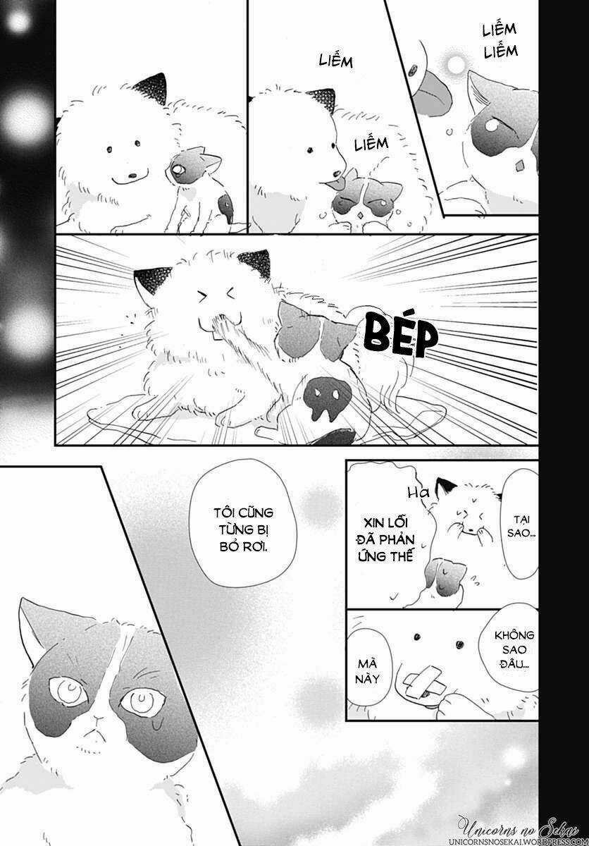 Kimi To Wonderland Chapter 5 trang 20