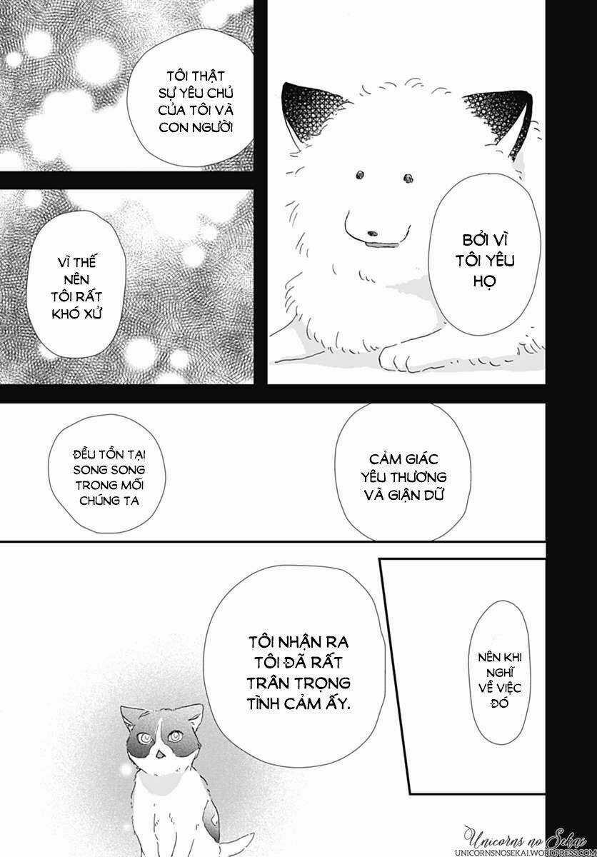 Kimi To Wonderland Chapter 5 trang 22