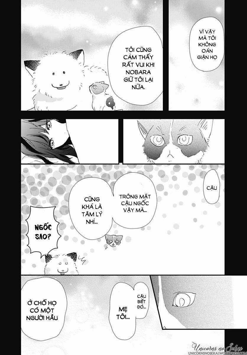 Kimi To Wonderland Chapter 5 trang 23