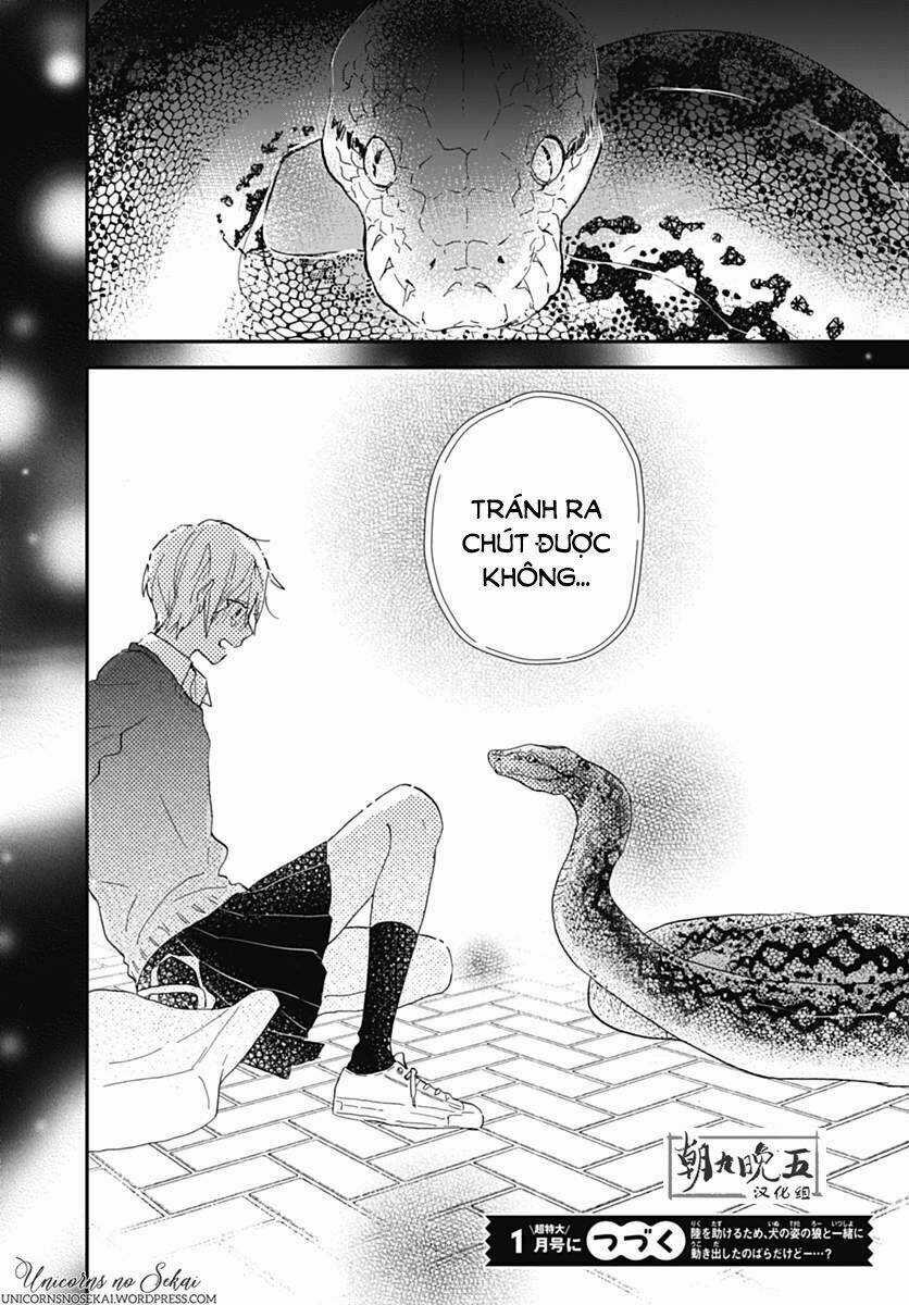 Kimi To Wonderland Chapter 6 trang 43