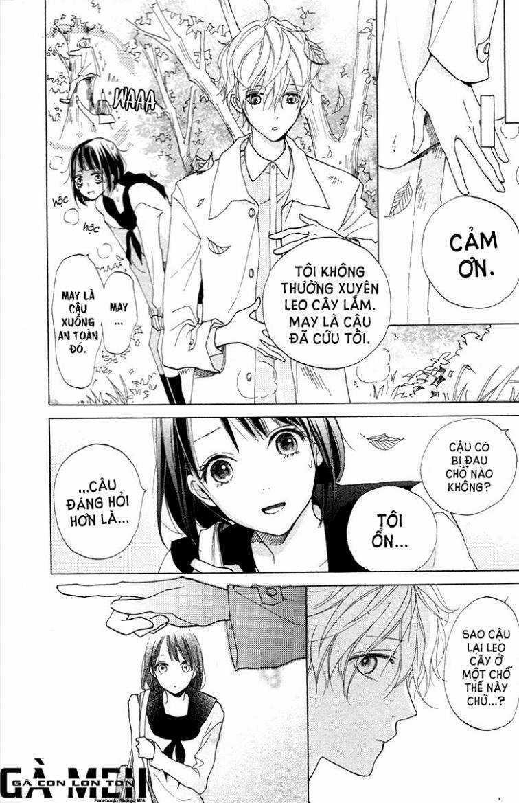 Kimi To Yurrika Chapter 1 trang 6