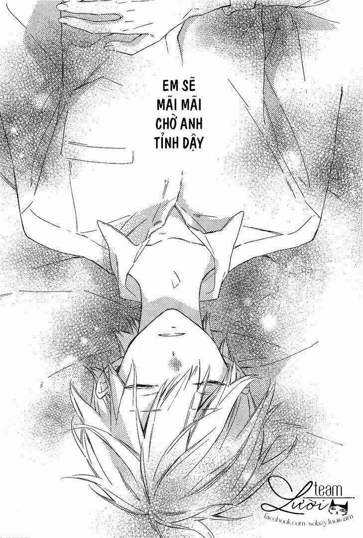 Kimi Wa Haru Ni Me Wo Samasu Chapter 1 trang 3