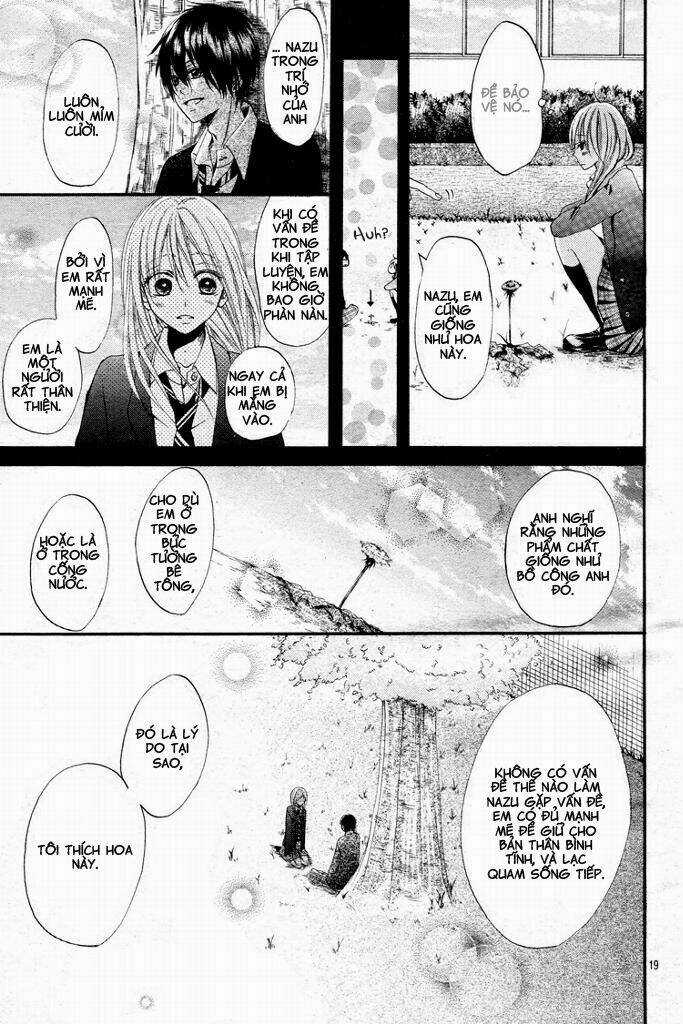 Kimi Wa Maru De, Ano Hana No You De Chapter 1 trang 19