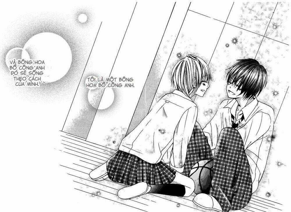 Kimi Wa Maru De, Ano Hana No You De Chapter 2 trang 17