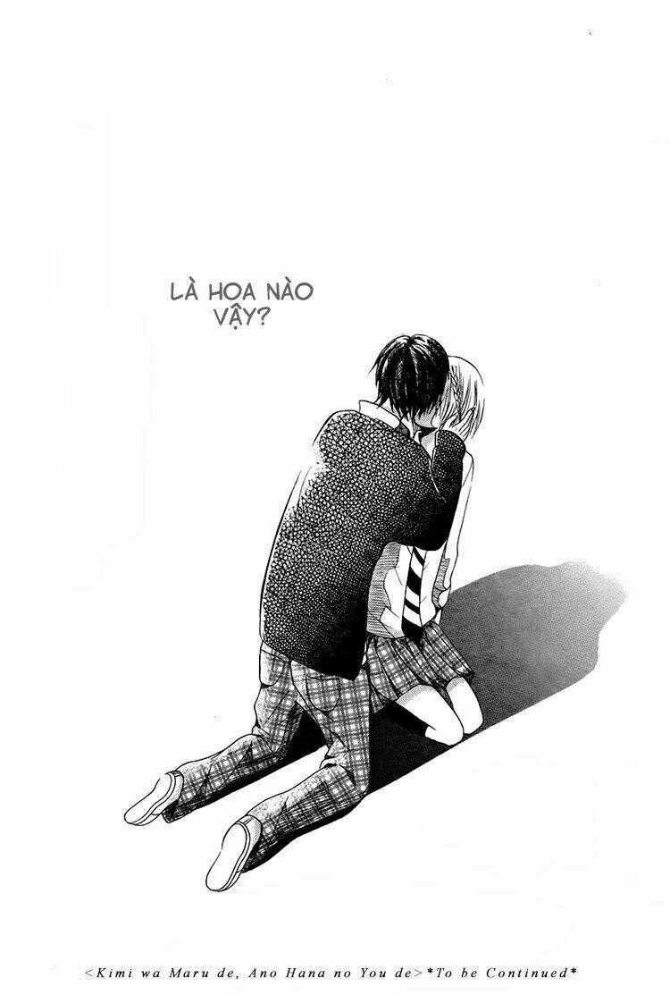 Kimi Wa Maru De, Ano Hana No You De Chapter 2 trang 29