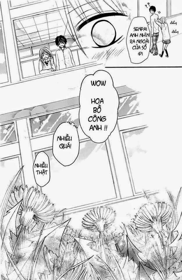 Kimi Wa Maru De, Ano Hana No You De Chapter 3 trang 25