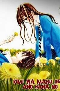 Kimi Wa Maru De, Ano Hana No You De