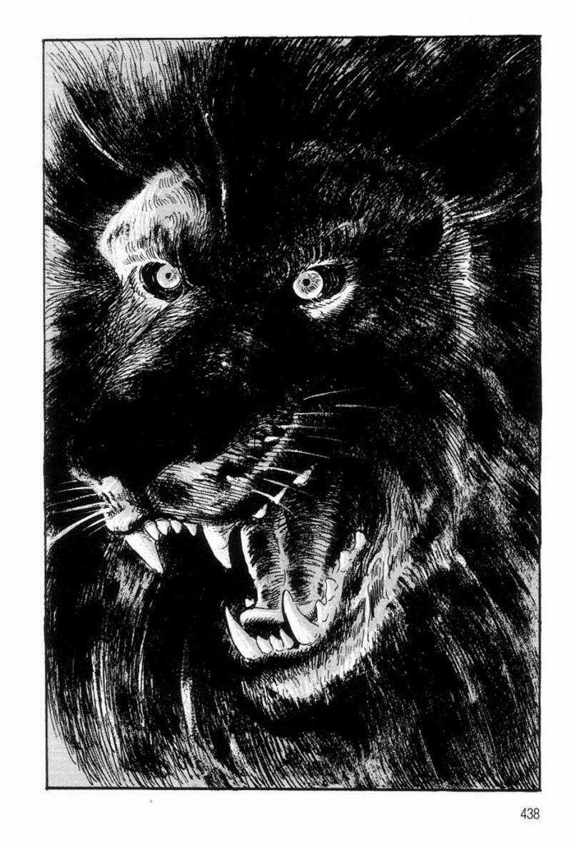 King Of Brutes Chapter 1 trang 16