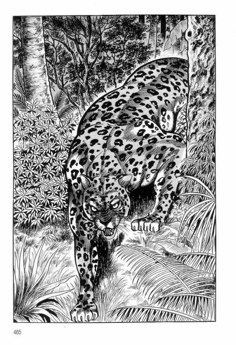 King Of Brutes Chapter 1 trang 43