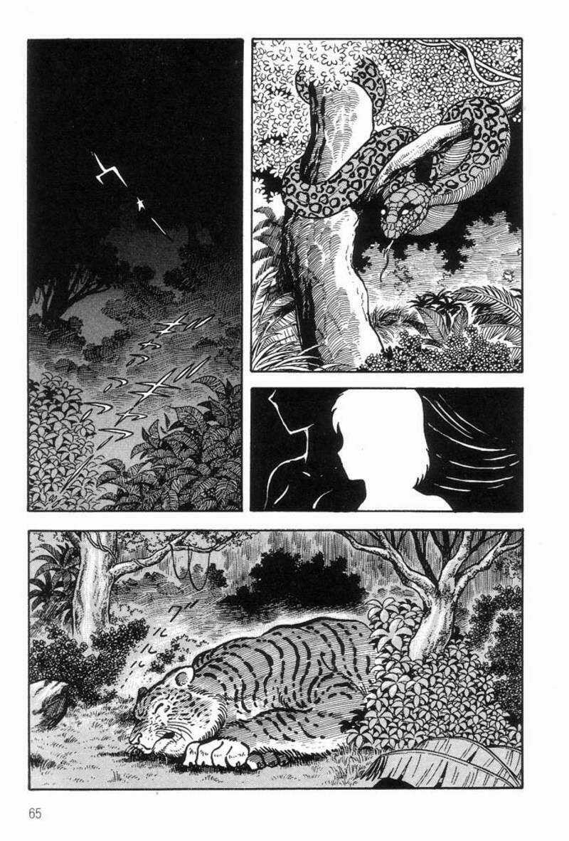 King Of Brutes Chapter 3 trang 15