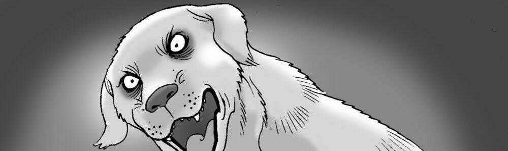 Kinh Dị Không Lời Chapter 21 trang 13