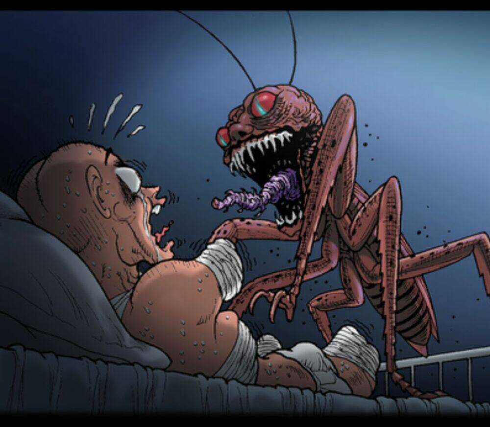 Kinh Dị Không Lời Chapter 247 trang 10