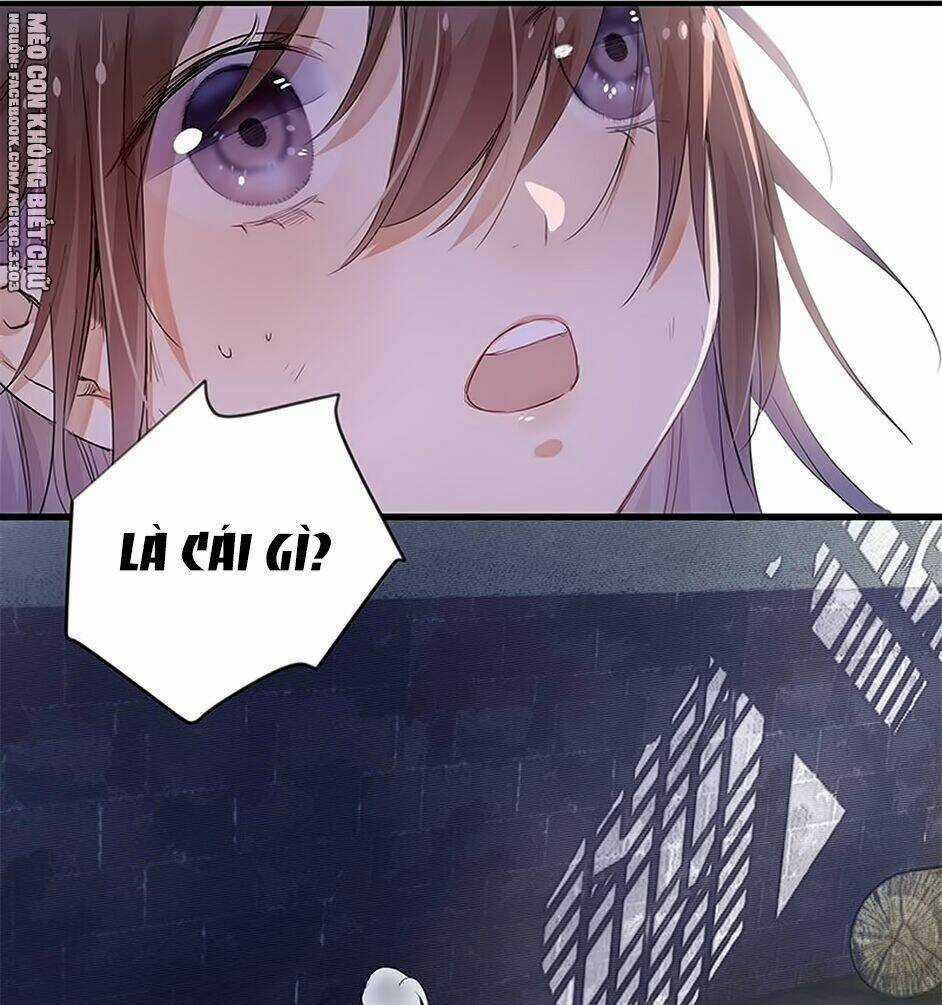 Kính Hoa Thương Chapter 1 trang 23